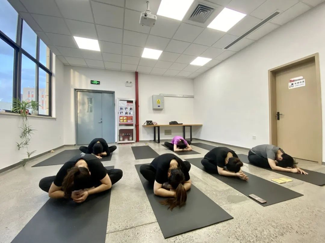 夏日炎炎， 中泰“瑜”你攜手同行